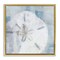 Stupell Industries Pastel Blue Sand Dollar Seashell Framed Floater Canvas Wall Art